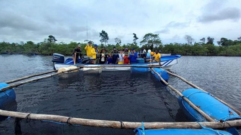 INPESCA inaugura jaulas de cultivo de Róbalo en Laguna de Perlas