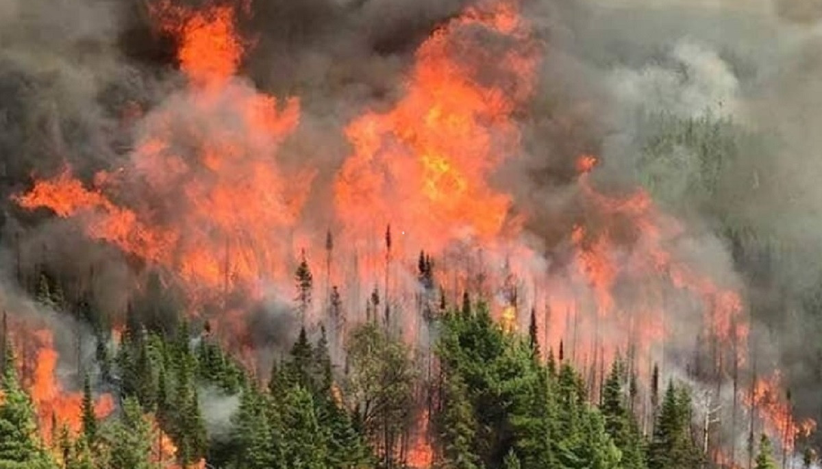 Incendios forestales en canada