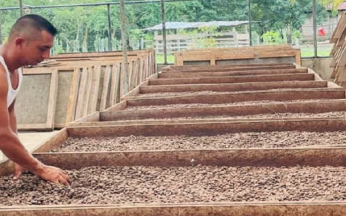 Good Sandinista Government inaugurates Cocoa Processing Center in Las Minas