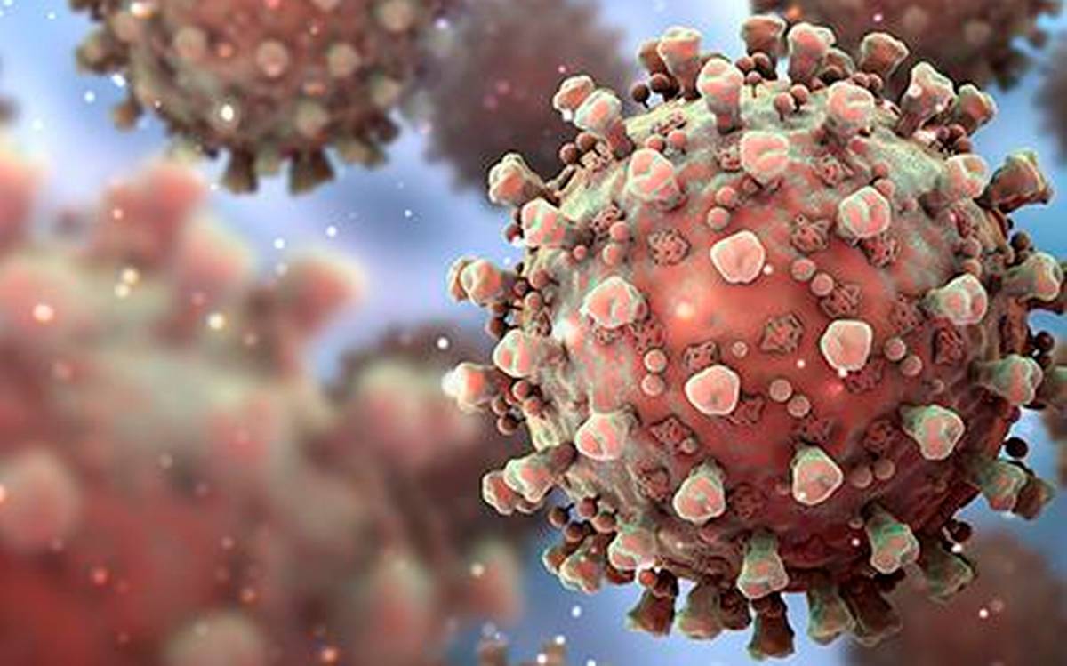 Virus omicron coronavirus imagen