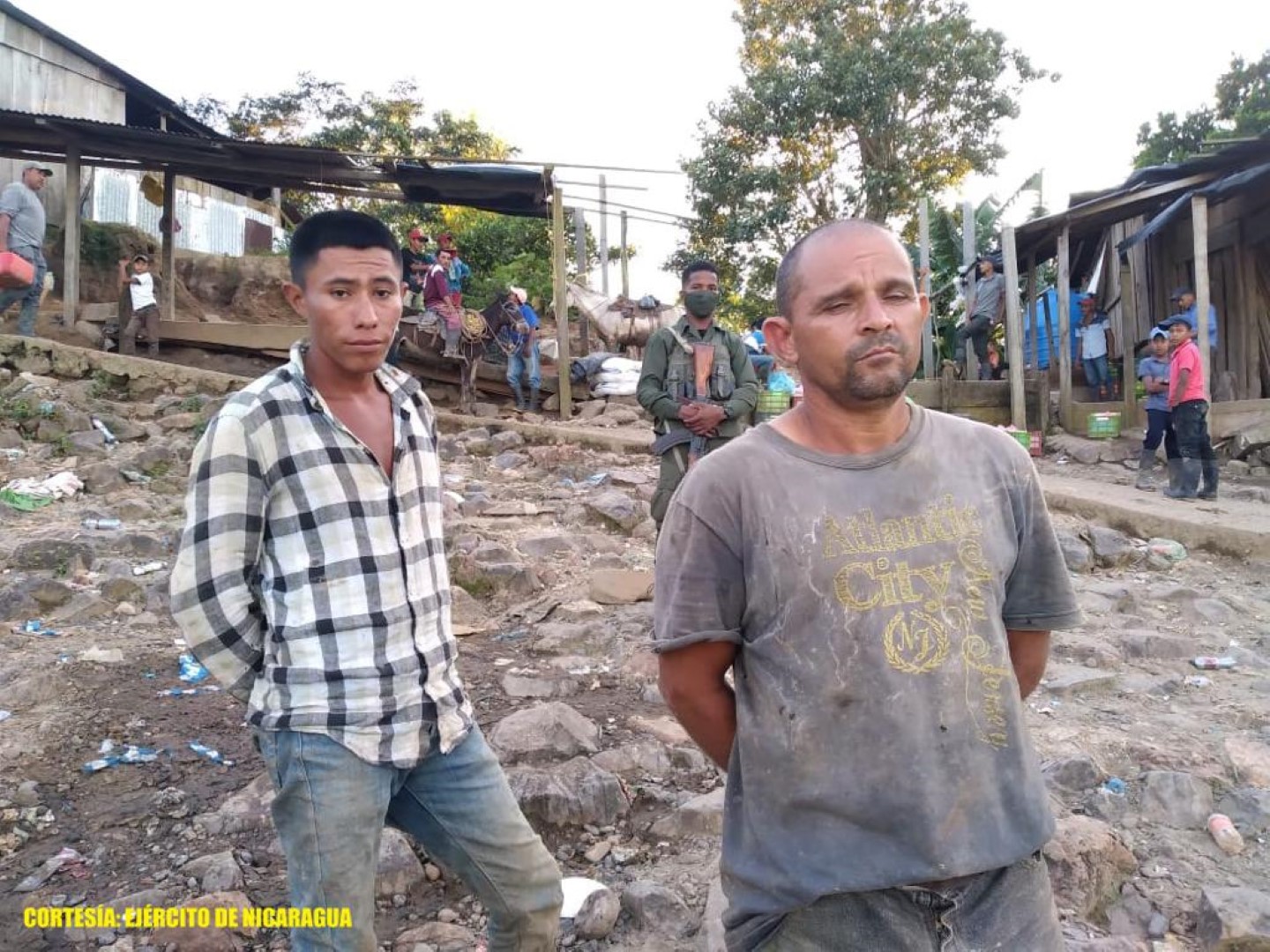Ejercito de nicaragua recupera 22 semovientes robados en siuna 2