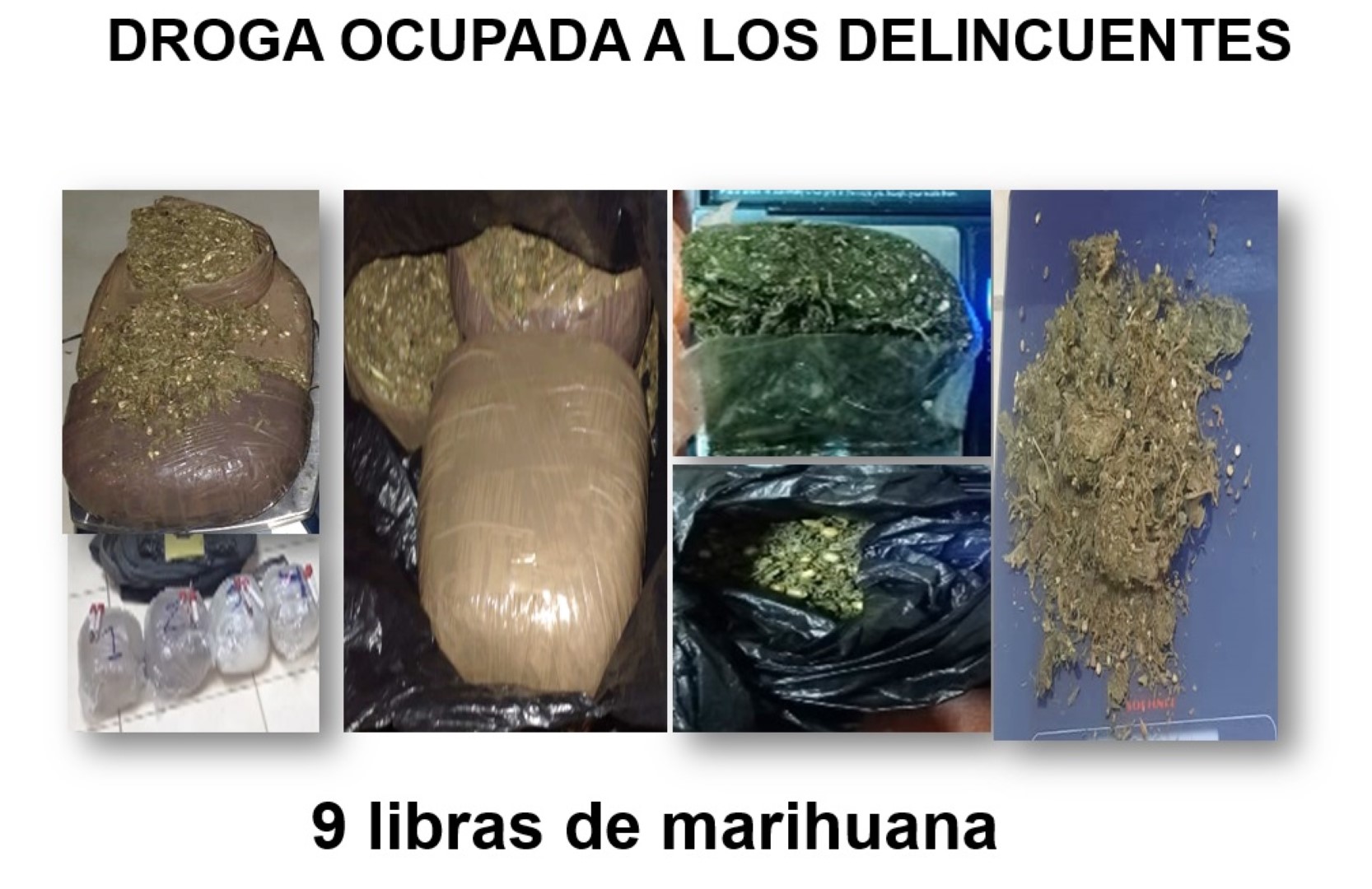 9 libras de marihuana incautadas en nueva segovia