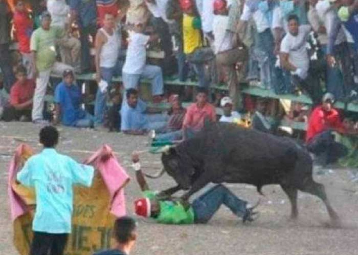 Hombre muere tras ser corneado en el corazon por un toro en colombia