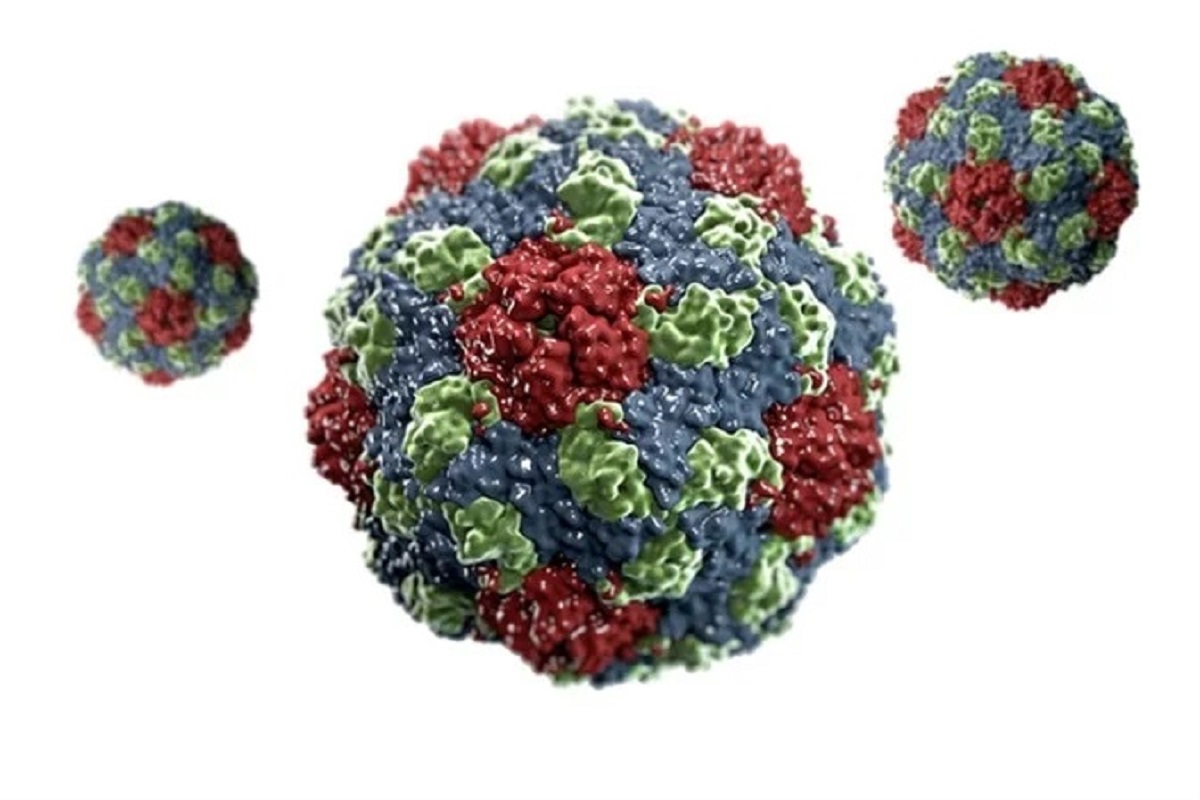 Imagen de un Parechovirus