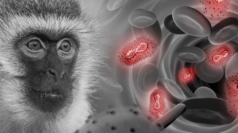 Guatemala confirma su primer caso de viruela del mono
