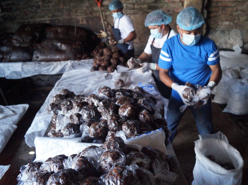 Destacan labor de emprendimiento familiar exportador de tamarindo en nicaragua 2