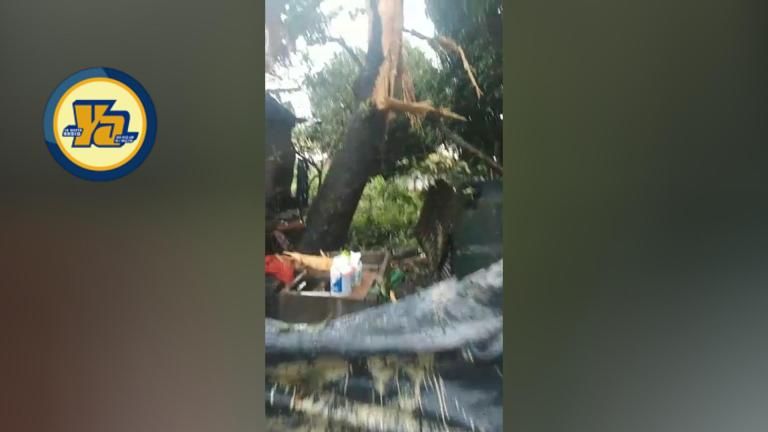 Hermanitas viven de milagro al caer un rayo en el patio de su casa en Nicaragua