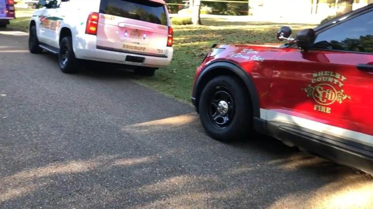 Perros matan a dos niños en una vivienda en Shelby, Estados Unidos