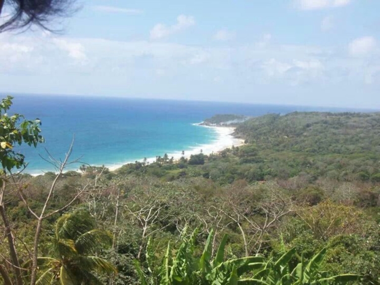 Banco de Desarrollo de Brasil podría invertir en Puerto de aguas profundas de Monkey Point