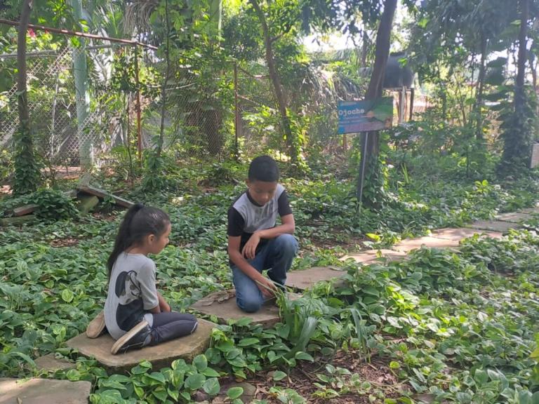 Inafor realiza jornada a la mujer con Festival Ambiental