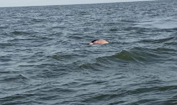 Hallan muerto a hombre ahogado en río de El Castillo, Río San Juan