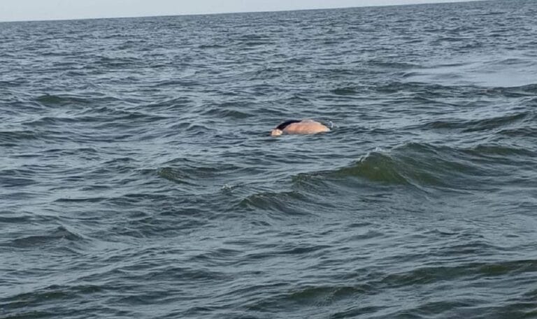 Hombre es hallando sin vida por sumersión en El Castillo, Río San Juan