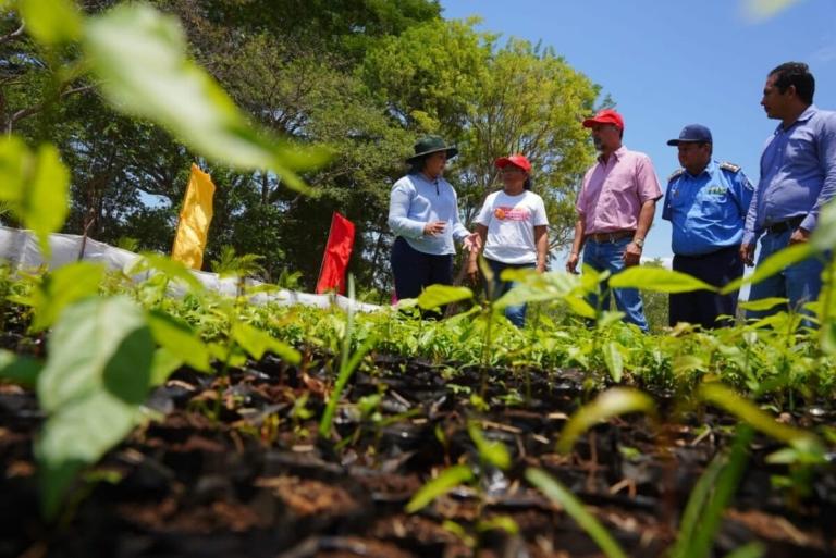 Inafor inaugura vivero municipal en Masaya