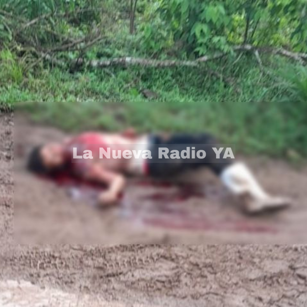 Nelson Oporta Luquez fue asesinado cerca de las minas artesanales de San Carlos