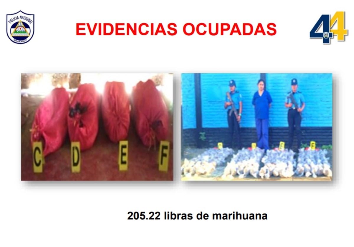 205 libras de marihuana incautadas a una mujer en Managua