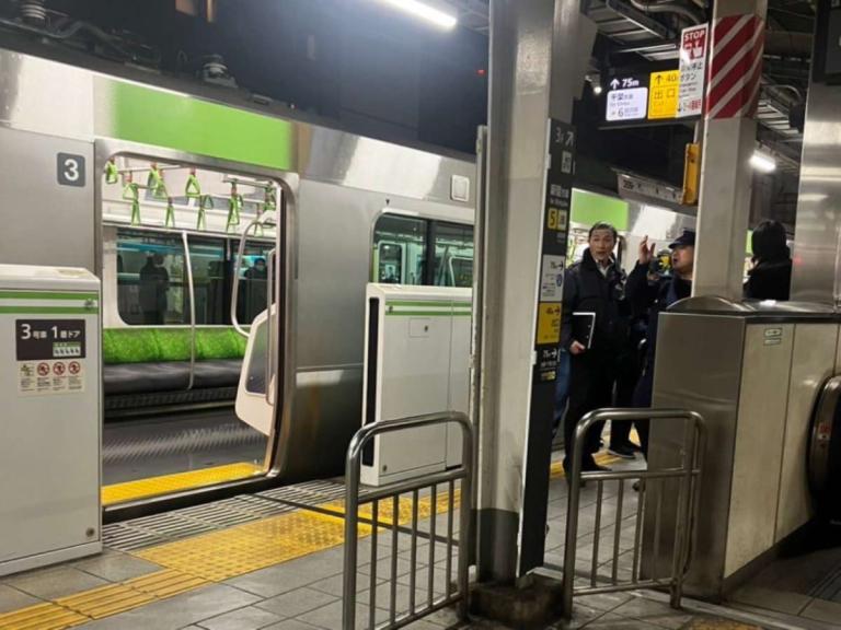 4 personas fueron apuñaladas por una mujer en un tren de Tokio