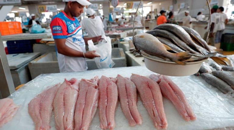 INPESCA: Avances en la Pesca y Acuicultura de Nicaragua (2006-2023)