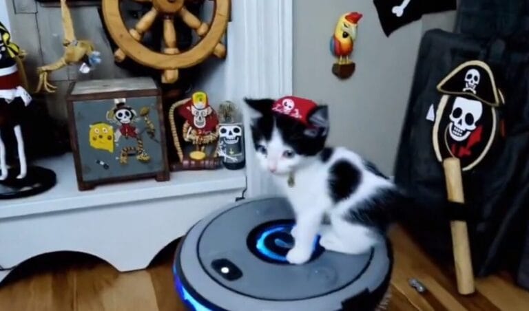 Nada de lo que se ve en este video es real