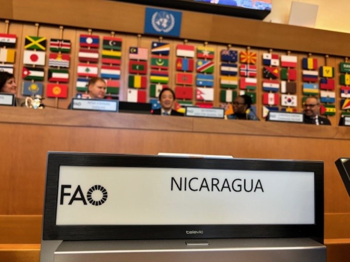 Nicaragua en la IV Conferencia Global del Foro Mundial Bananero de FAO