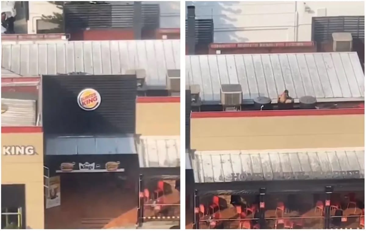 Un hombre se baña desnudo en un tanque de Burger King Colombia