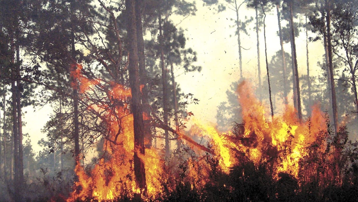 Informe incendios forestales: Puntos de Calor en Nicaragua