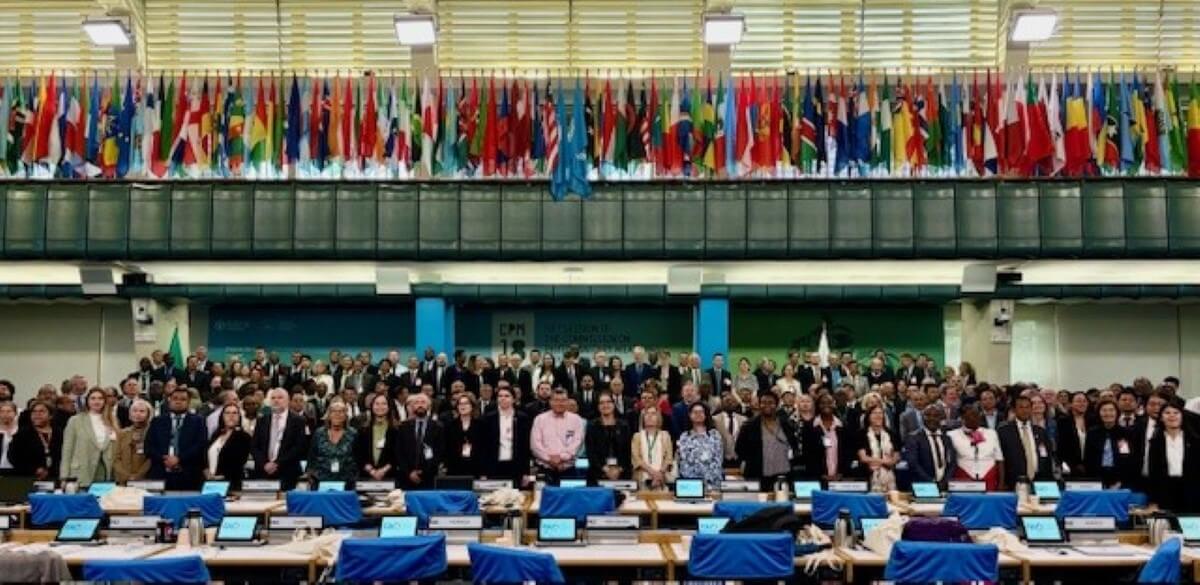 Participantes del 18° periodo de sesiones de la Comisión de Medidas Fitosanitarias de FAO