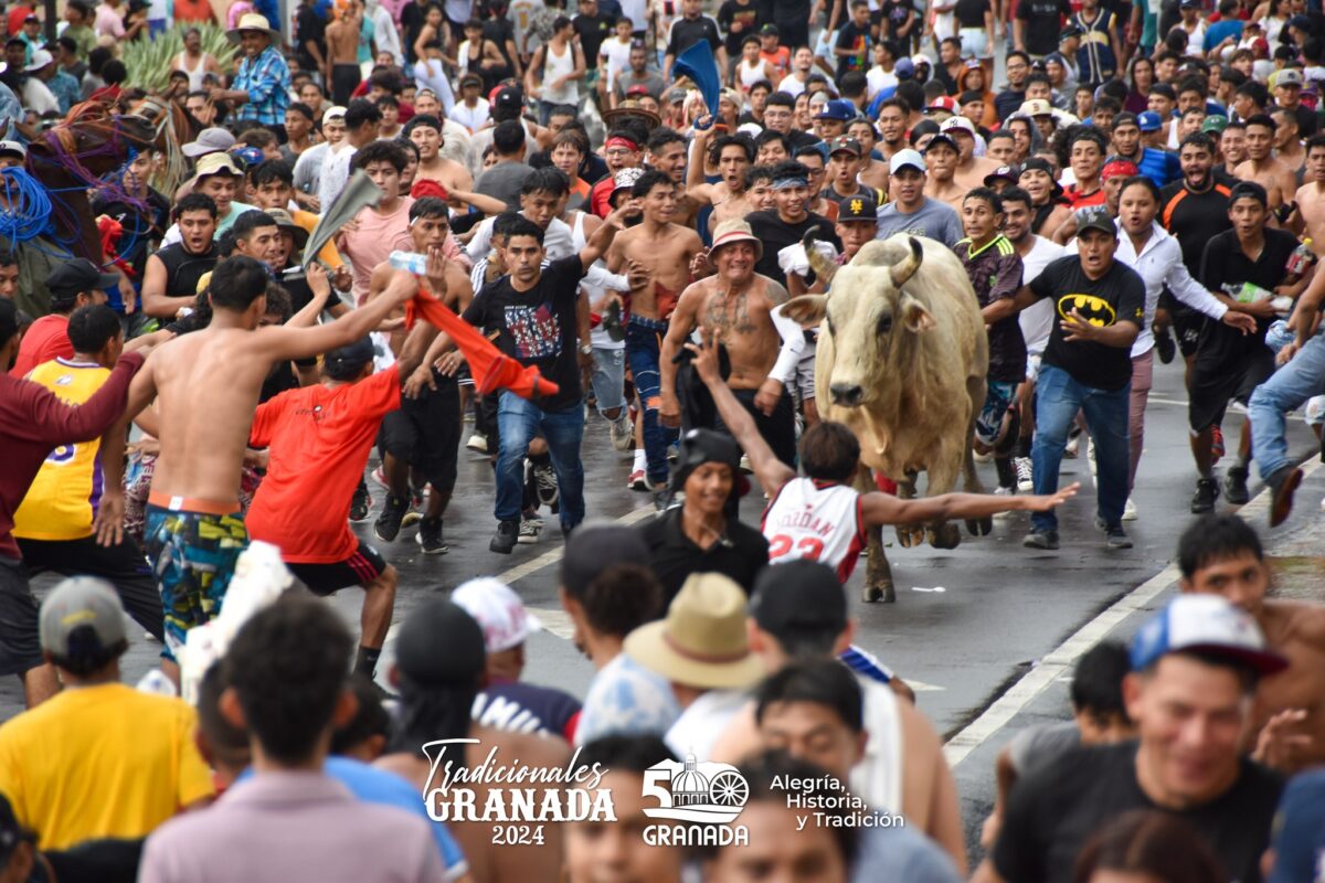 Festival Vaquero Granada 2024: Expo Feria, Pasarela y Show Ecuestre