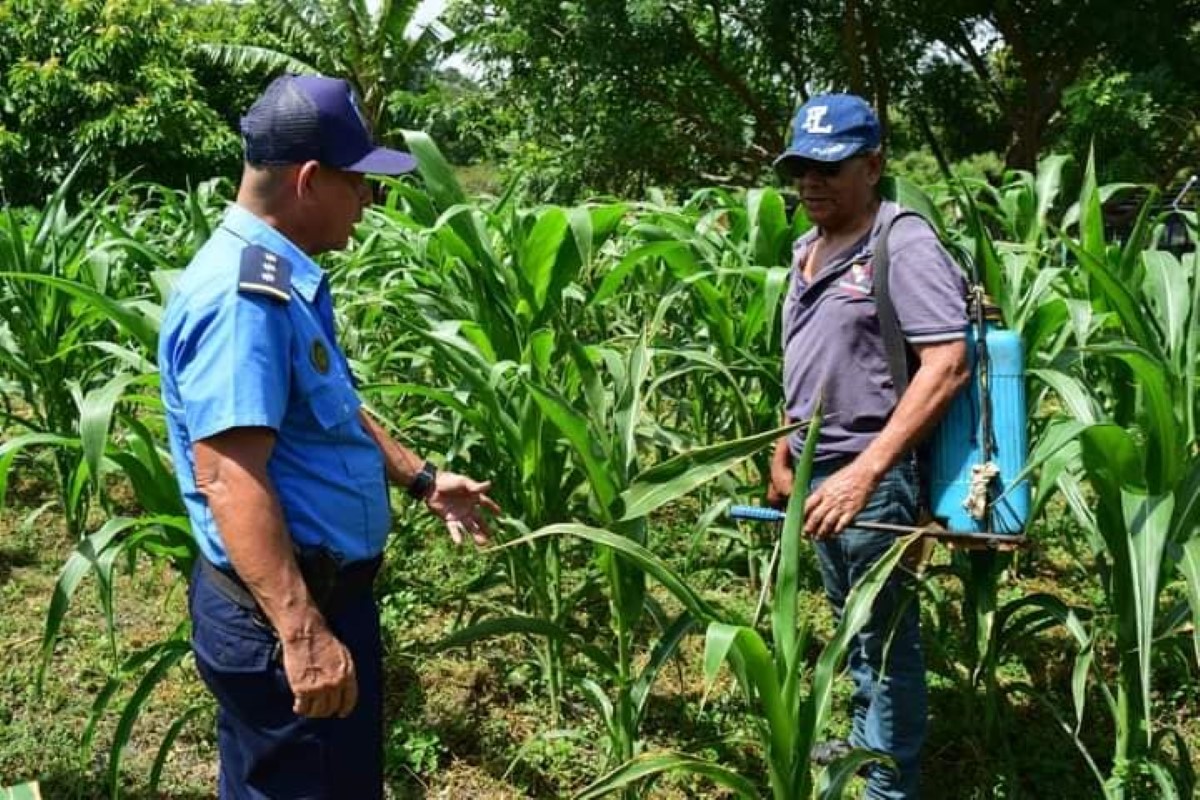 Policía Nacional de Nicaragua: 22,738 servicios de seguridad ciudadana