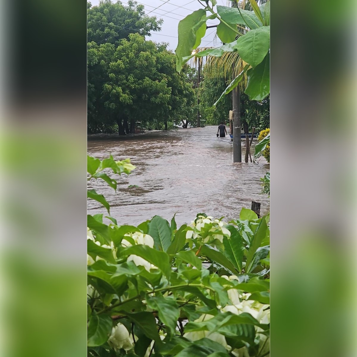 Intensas lluvias provocan desbordes de ríos en Nicaragua. En foto Río El Tamarindo