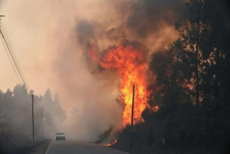 Incendios forestales cobran la vida de 7 personas, incluyendo 3 bomberos en Portugal