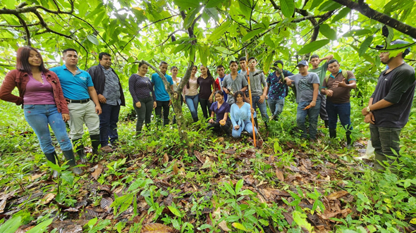 Foro tecnológico sobre control de enfermedades del cacao en Nueva Guinea