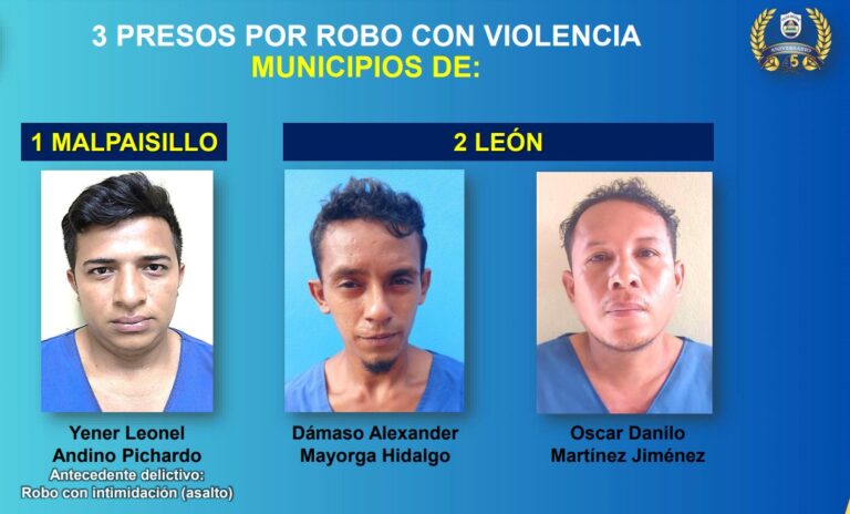 Seis autores de robos, pushers y tres abusadores sexuales entre 14 detenidos en León