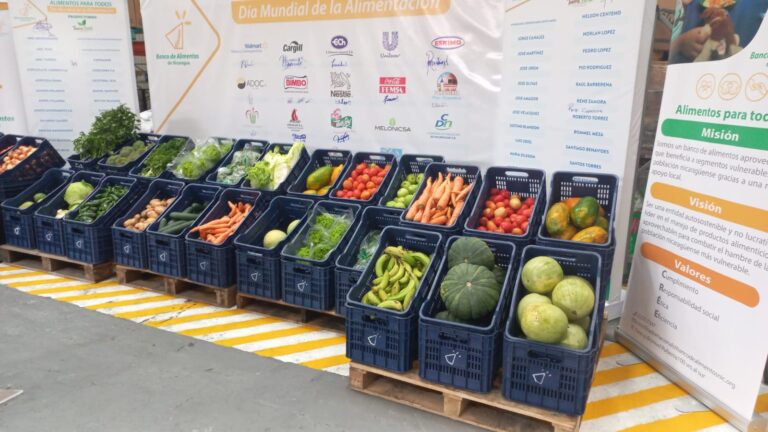 Walmart dona equipos logísticos al Banco de Alimentos