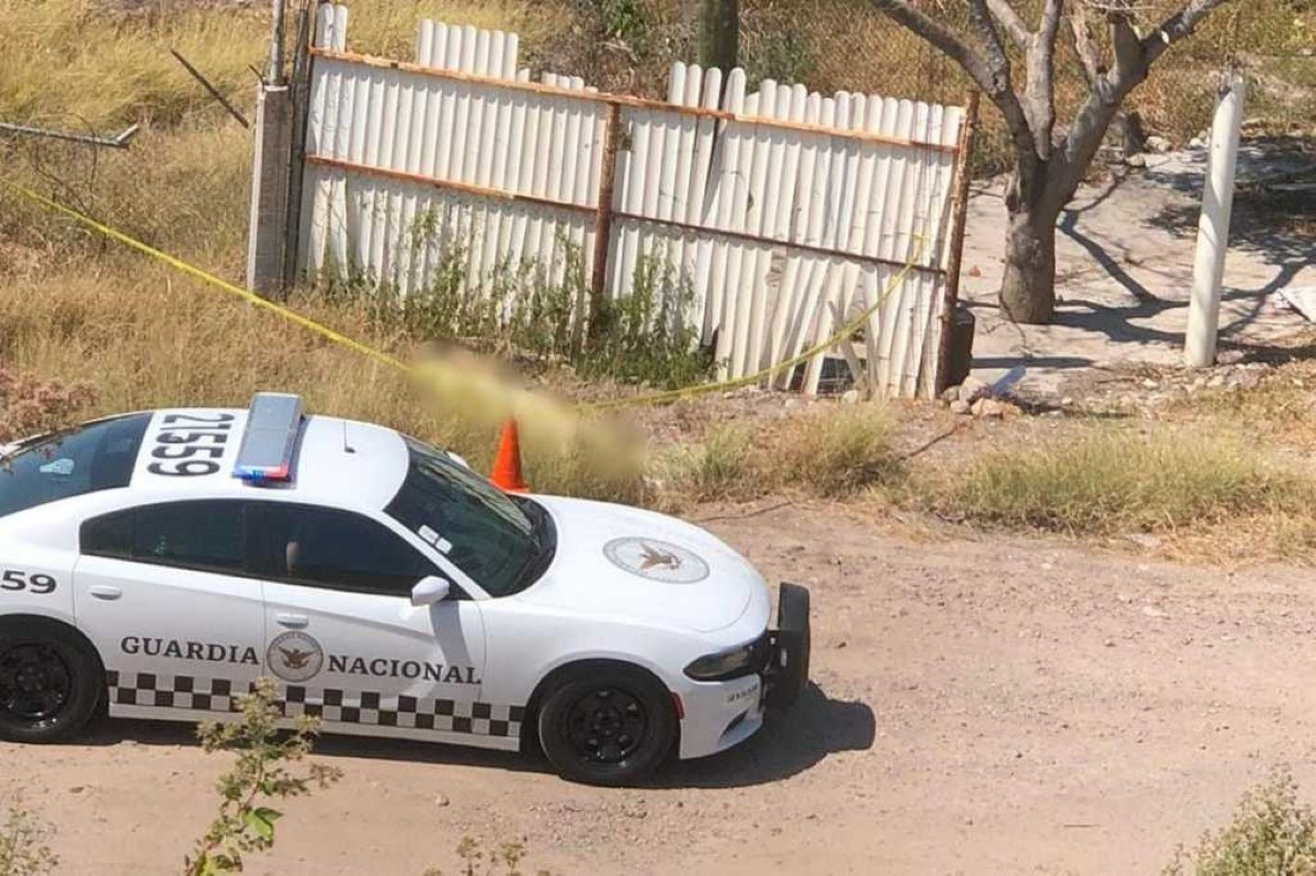 Violencia en Sinaloa: 200 muertos y 234 desaparecidos