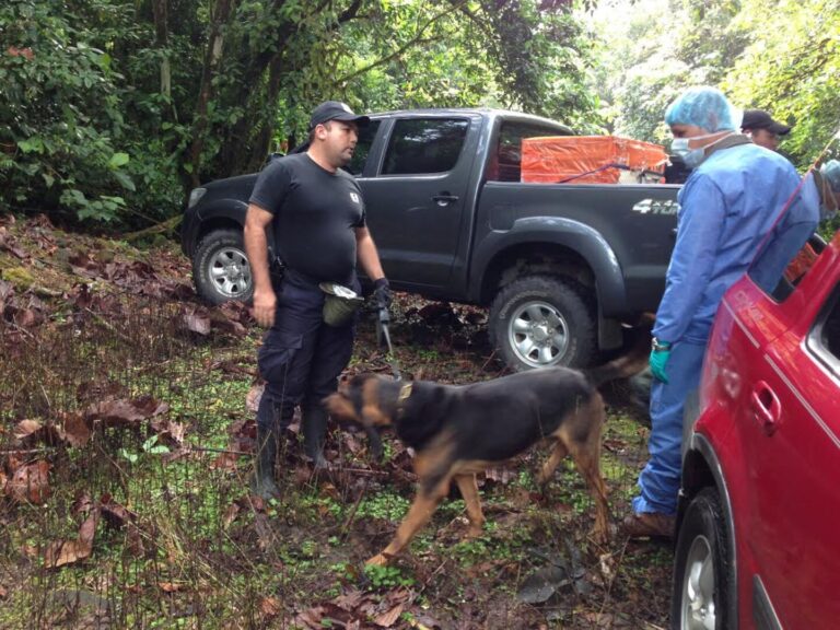 Hallan bolsa con huesos en Guanacaste, Costa Rica