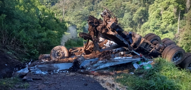 Camión cae a guindo y mata a su conductor en Costa Rica