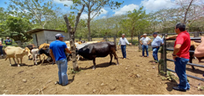 IPSA y SENASICA capacitan a más de 15 mil ganaderos en control de plagas y enfermedades