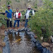 Gobierno de Nicaragua impulsa cultivo de tilapia en Altagracia, Isla de Ometepe