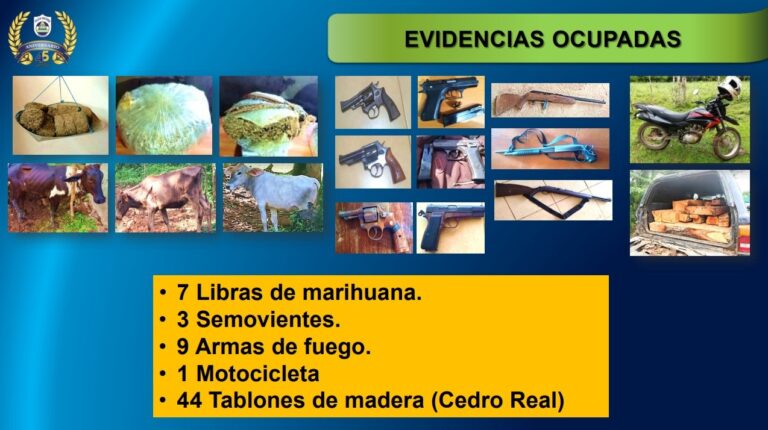 Planes de seguridad en la ciudad y el campo dejan 26 delincuentes arrestados en Nicaragua