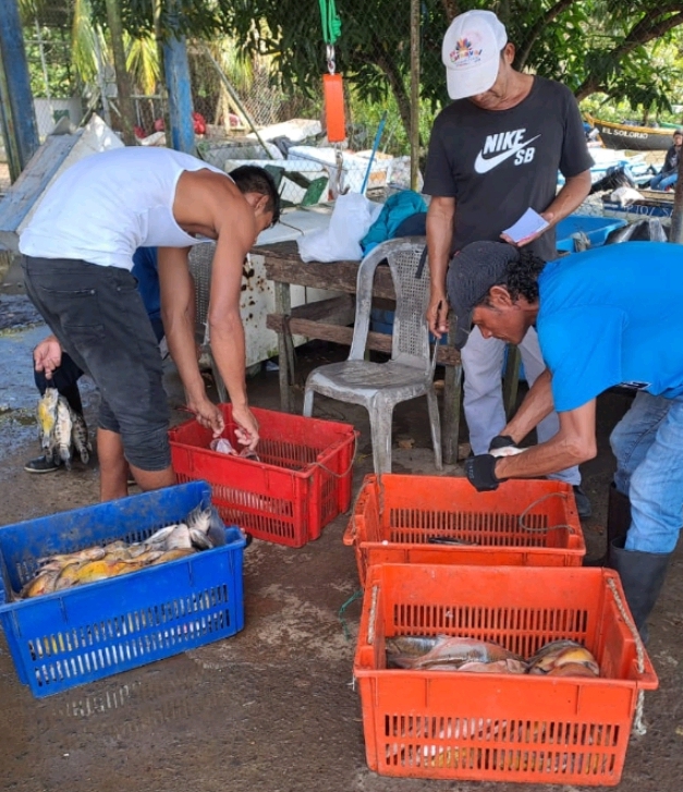 INPESCA reporta desembarques estables en zonas pesqueras del país