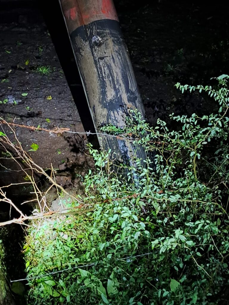 Fuerte lluvia provoca interrupción de energía y caída de árboles en León y Chinandega