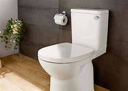 Evitar gérmenes en baños públicos: ¿es papel higiénico la solución?