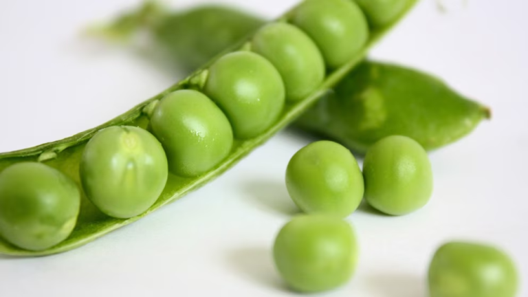Harvard destaca los beneficios de las arvejas: un superalimento esencial