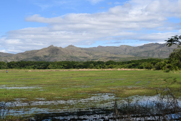 Proceso de producción de arroz en Juigalpa, Chontales