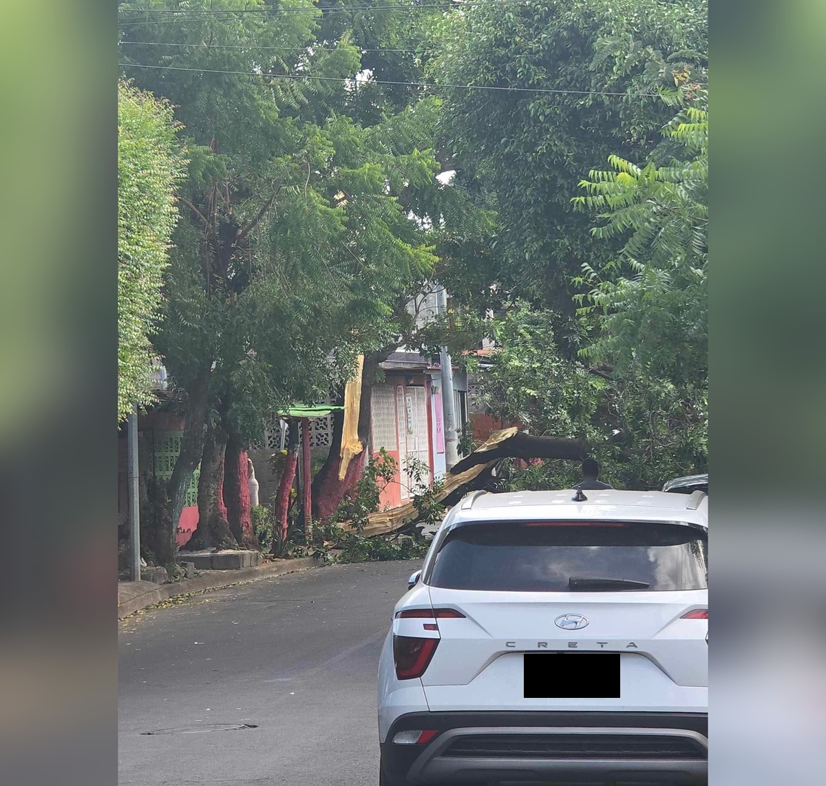 Fuertes vientos causan daños en viviendas y escuelas