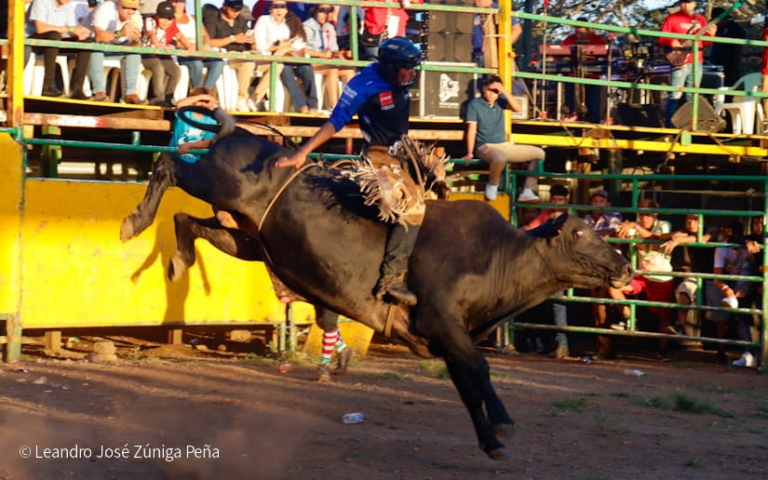 Diriamba en plena fiesta: rodeo taurino y música filarmónica para celebrar sus tradiciones