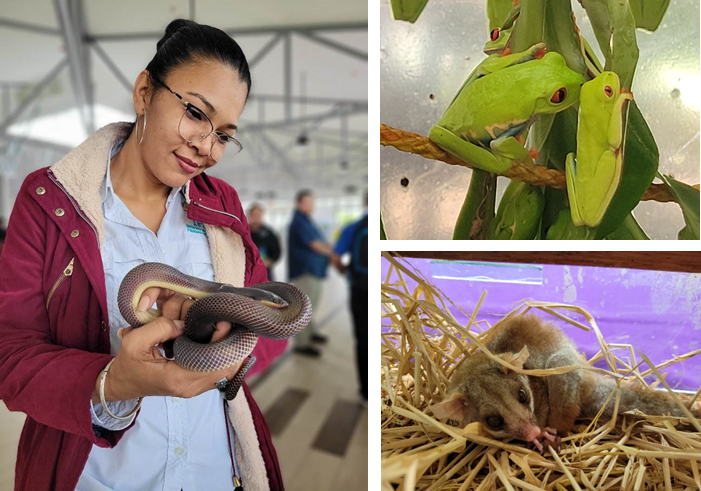 Verificación bioseguridad y bienestar animal en zoocriaderos