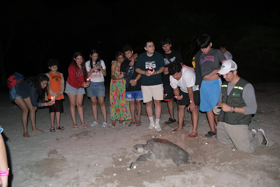 Turistas apreciando la anidación de tortuga