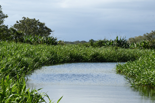 Río Papaturro, Refugio de Vida Silvestre Los Guatu-zos, Río San Juan