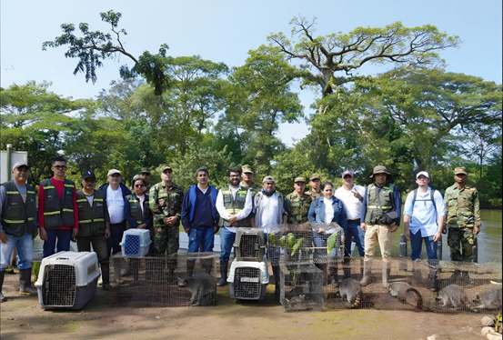 Liberación de fauna en el Refugio de Vida Silvestre Los Guatuzos, San Carlos, Río San Juan